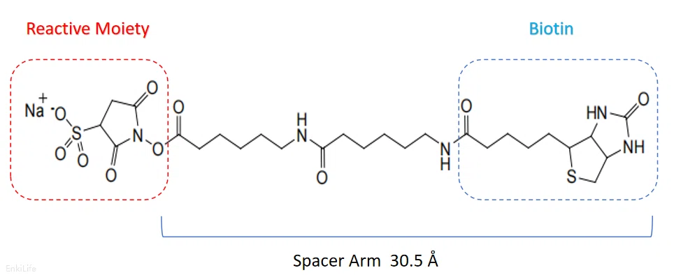 Dye Spectrum